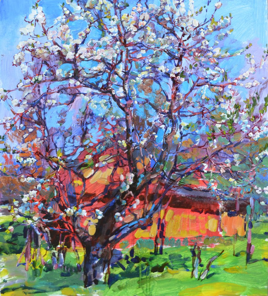  - Andrii Kutsachenko