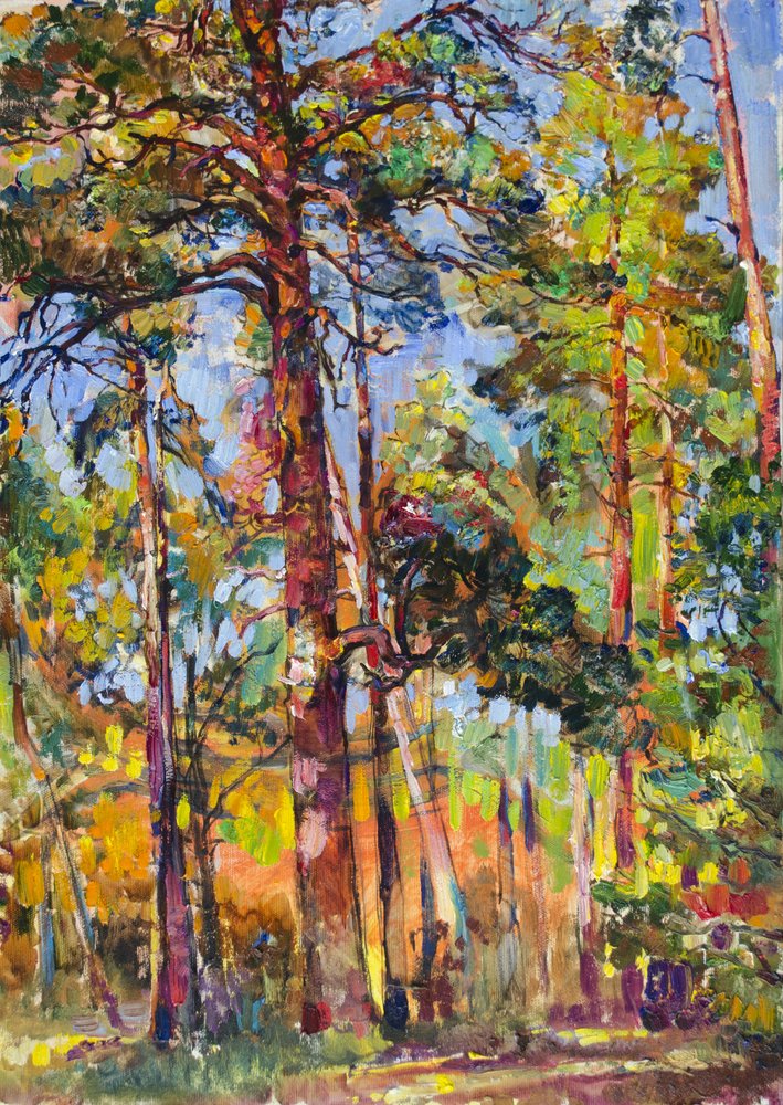 Une forêt de pins baignée de soleil - Andrii Kutsachenko