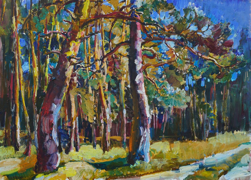 Sentier ensoleillé à travers la pinède - Andrii Kutsachenko