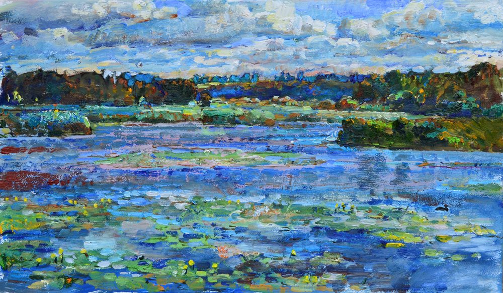 Nénuphars sur un lac paisible - Andrii Kutsachenko