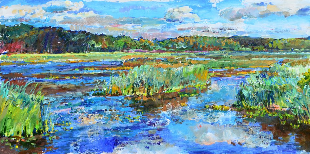 Paysage marécageux plein de vie - Andrii Kutsachenko