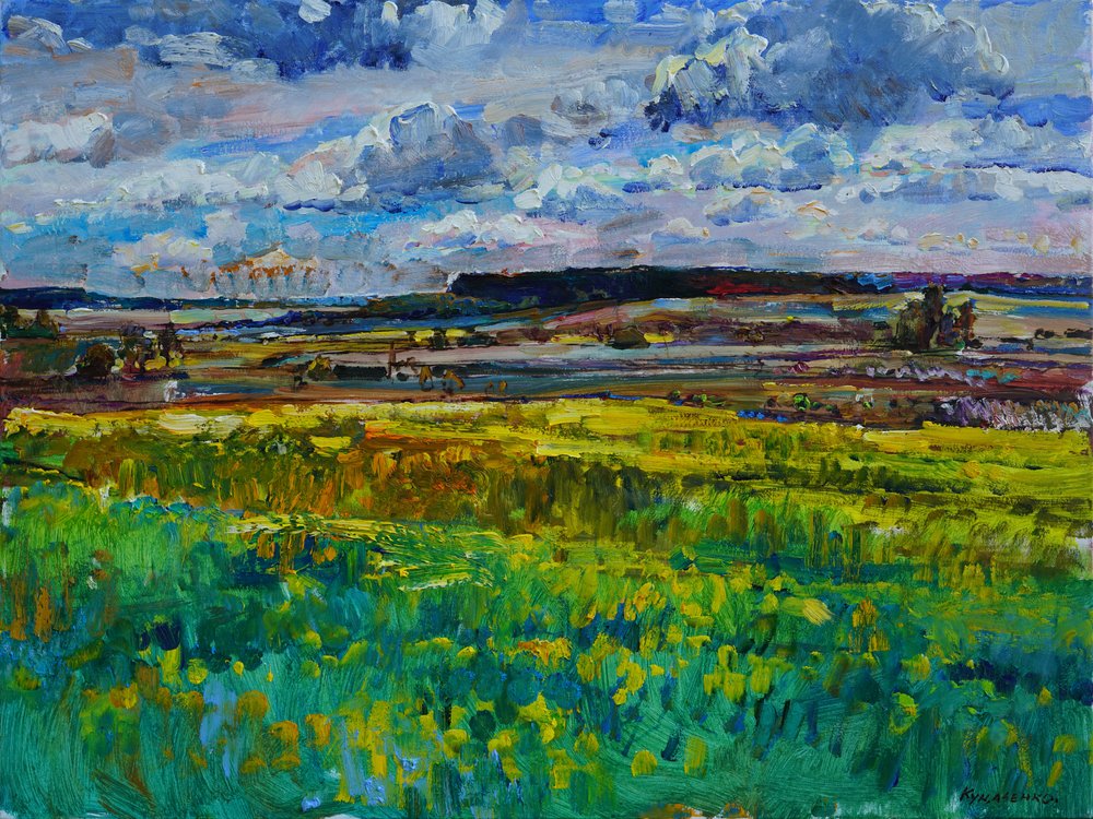 Champs estivaux aux couleurs éclatantes - Andrii Kutsachenko