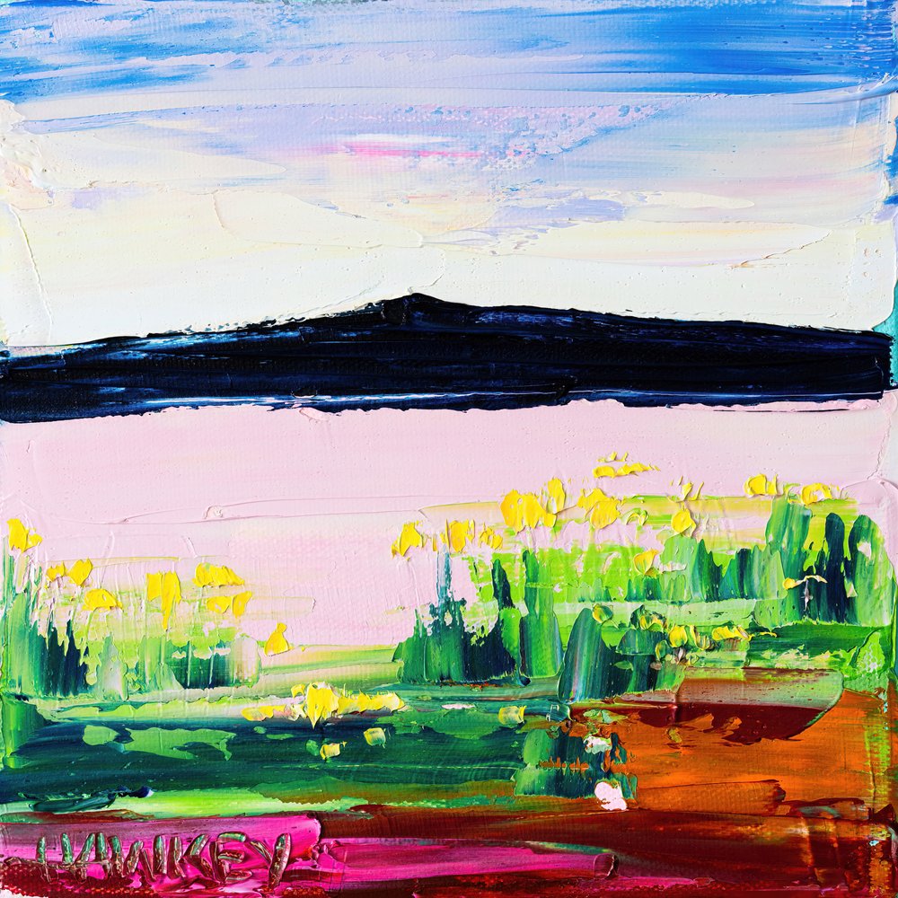 Une prairie de montagne aux couleurs éclatantes - Angela Hawkey