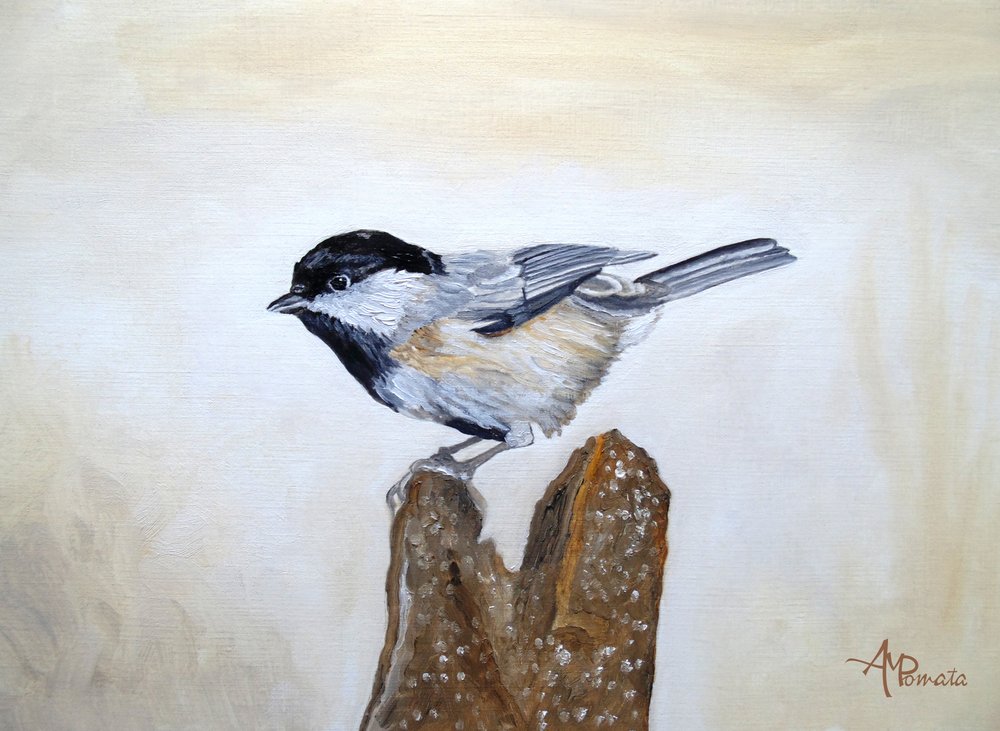 Une mésange sur une souche d