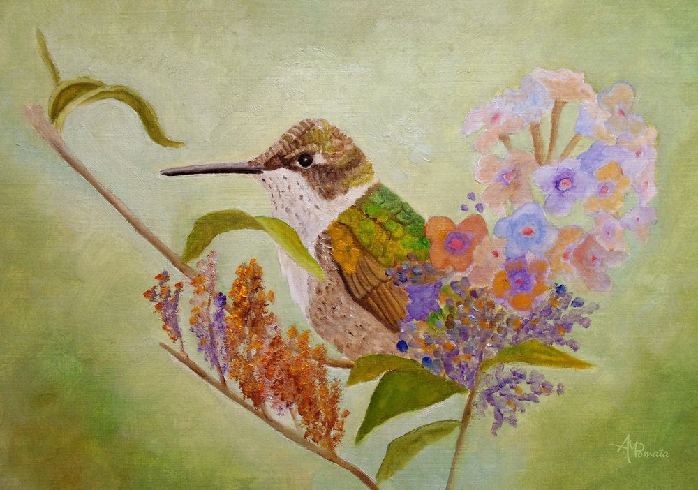 Jardin coloré des colibris - Angeles M. Pomata