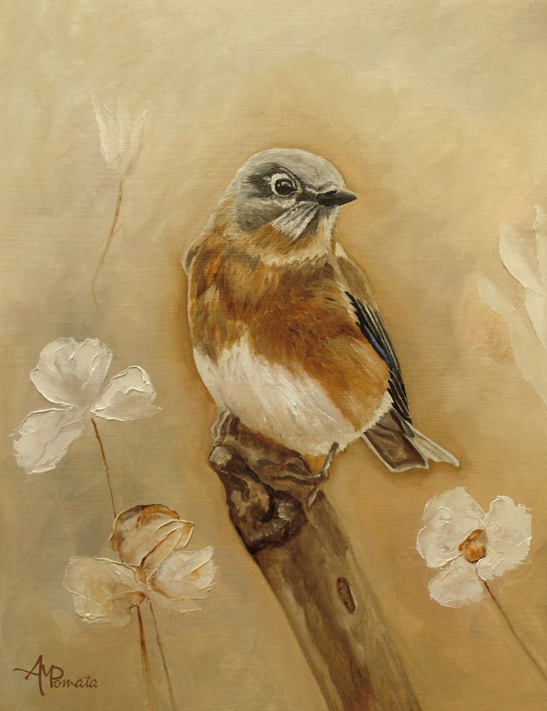 - Angeles M. Pomata