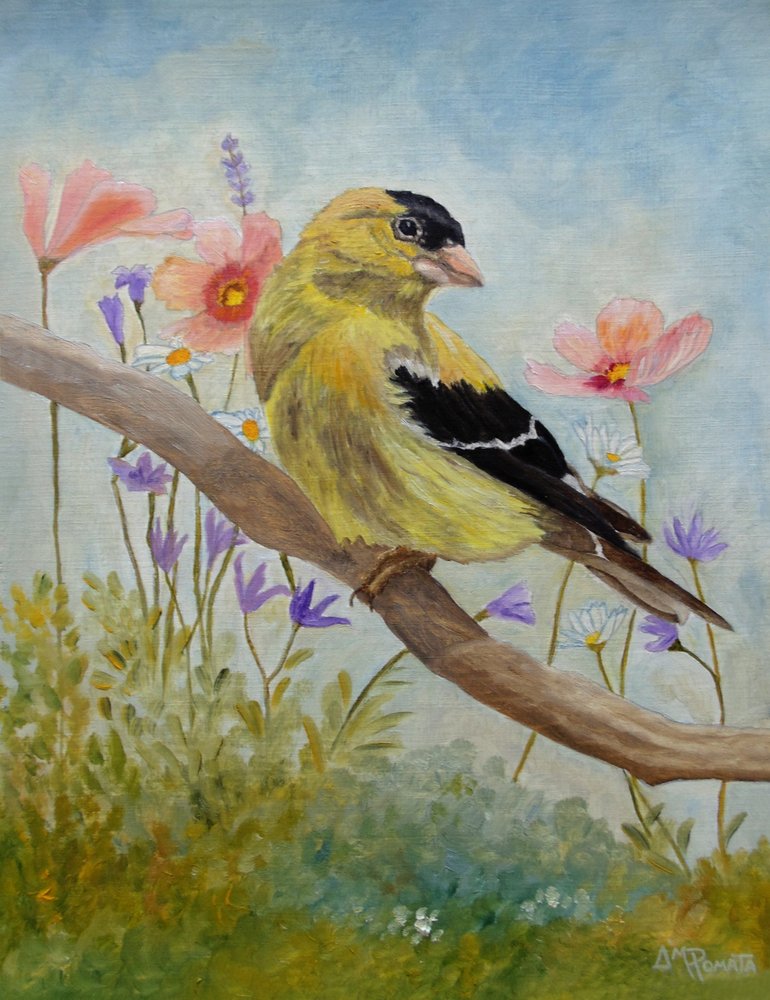 Un chardonneret parmi les fleurs sauvages - Angeles M. Pomata