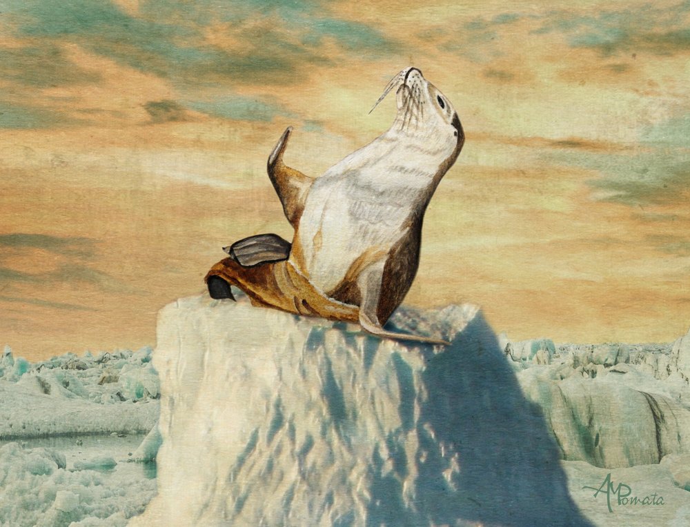 Salutations de l