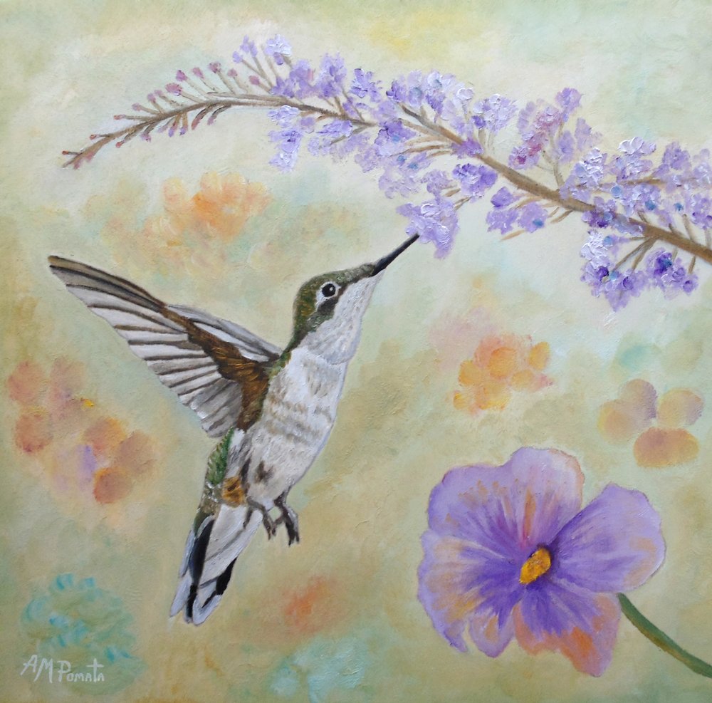 Colibri et lavande - Angeles M. Pomata