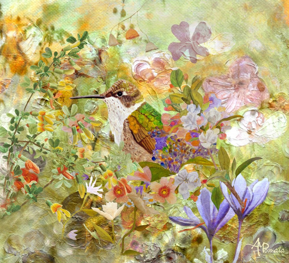  - Angeles M. Pomata