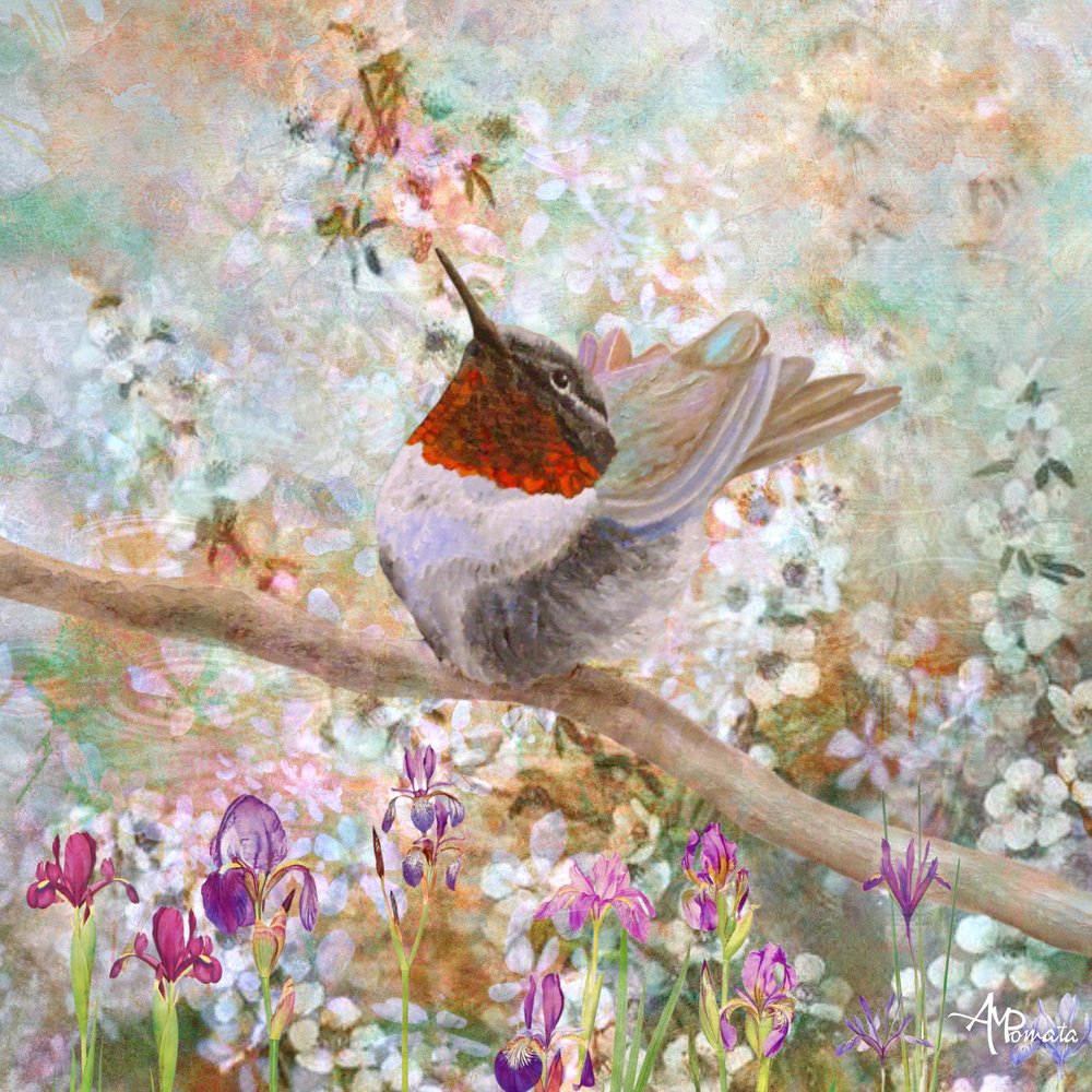 Colibri parmi les fleurs - Angeles M. Pomata