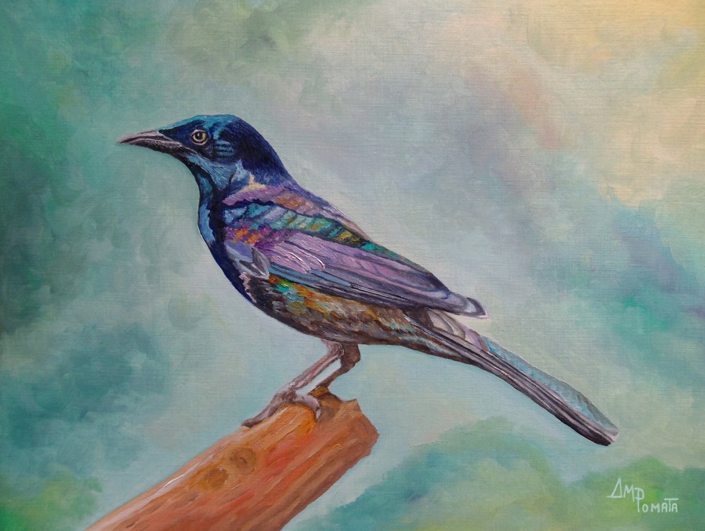 Oiseau perché irisé - Angeles M. Pomata