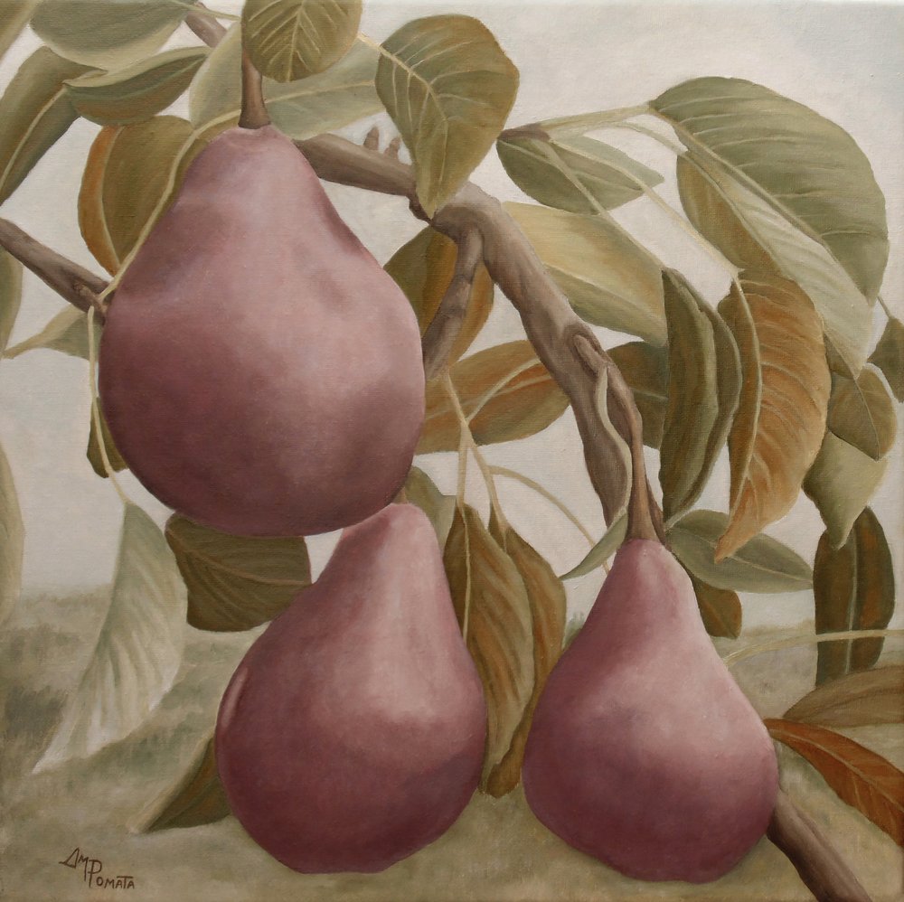  - Angeles M. Pomata
