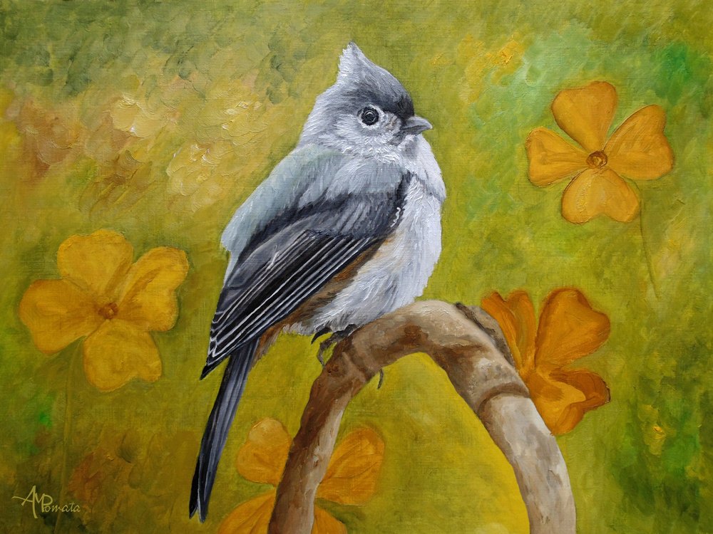 Mésange huppée et fleurs - Angeles M. Pomata