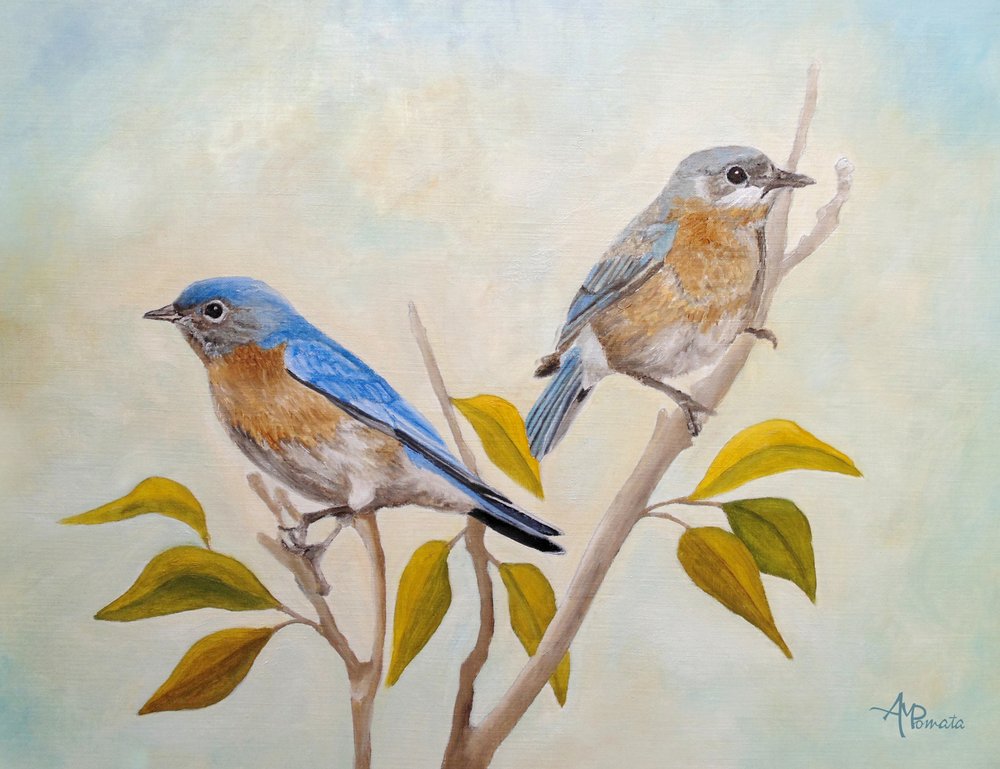 Deux merles bleus perchés - Angeles M. Pomata
