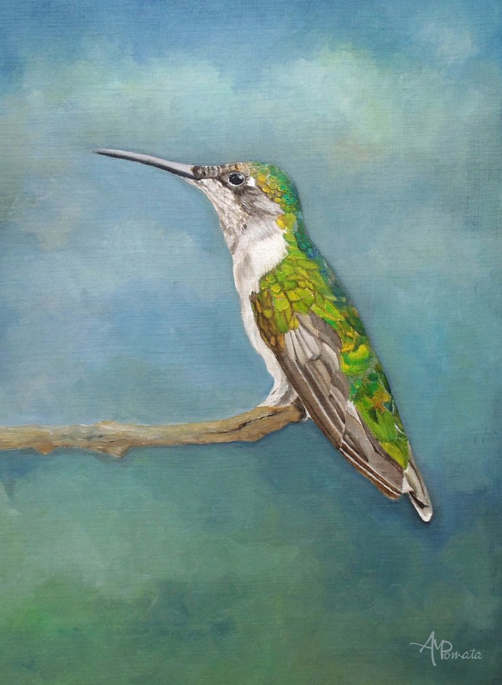 Perchoir coloré pour colibris - Angeles M. Pomata