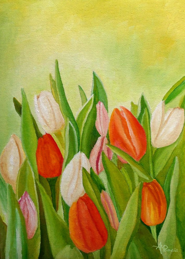 Des tulipes printanières aux couleurs éclatantes - Angeles M. Pomata