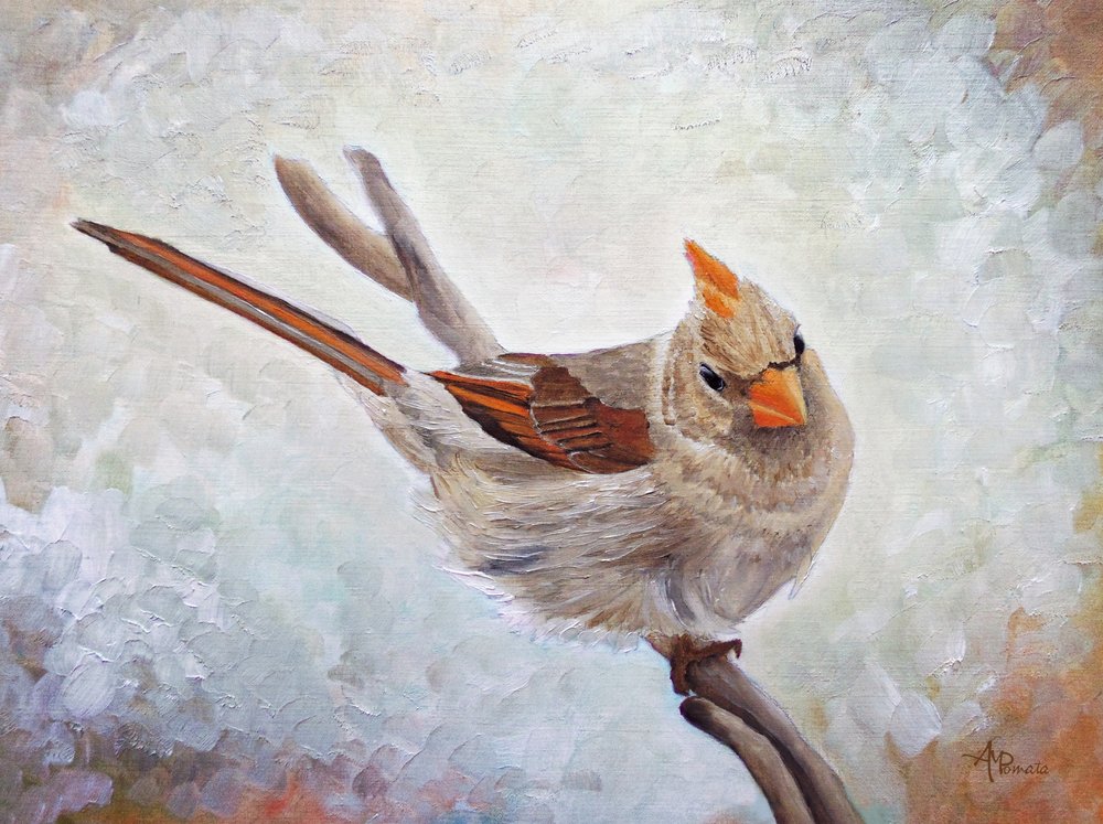Une femelle cardinal vigilante - Angeles M. Pomata