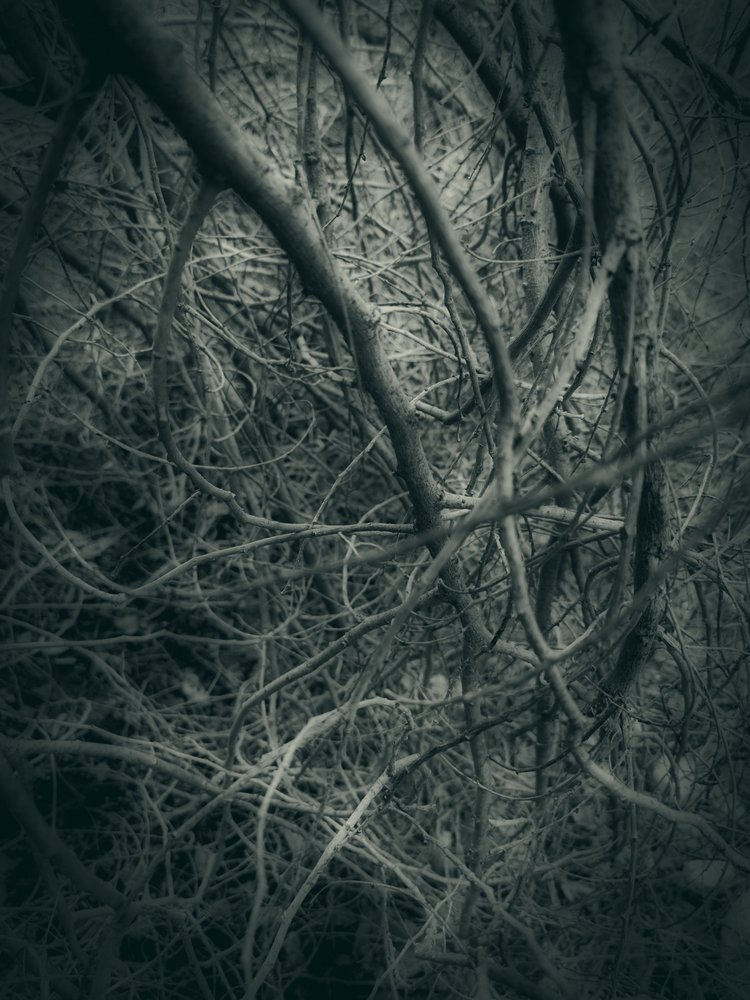  - Angelo Cerantola