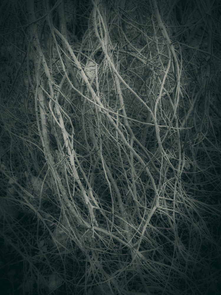  - Angelo Cerantola