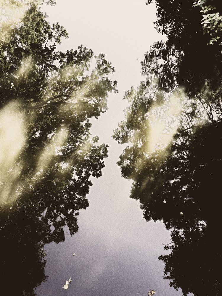 Le ciel miroitant de la nature - Angelo Cerantola