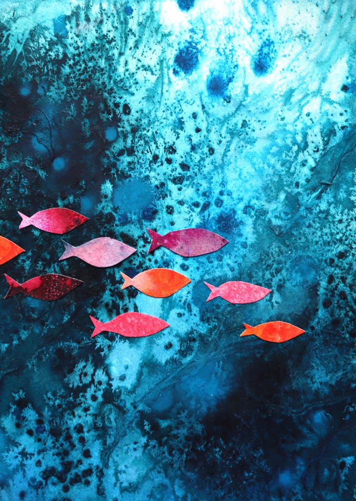 Poissons marins colorés - Ania Witwitzka