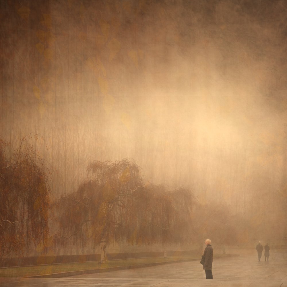 Une promenade d