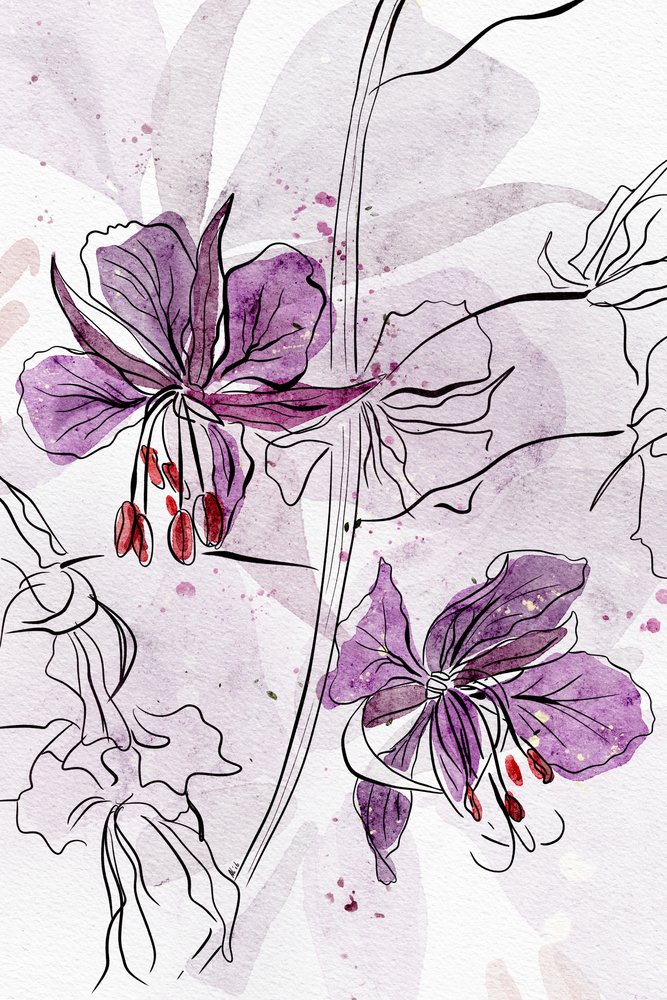 Fleurs violettes à l