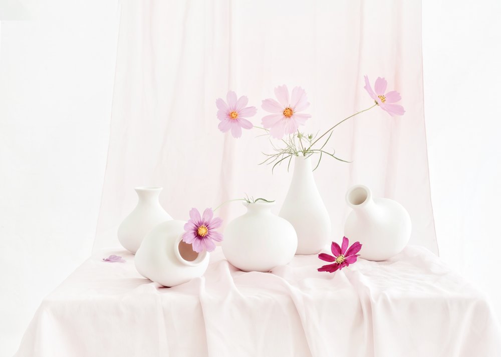 Nature morte « Blush Cosmos » - Anna Qu
