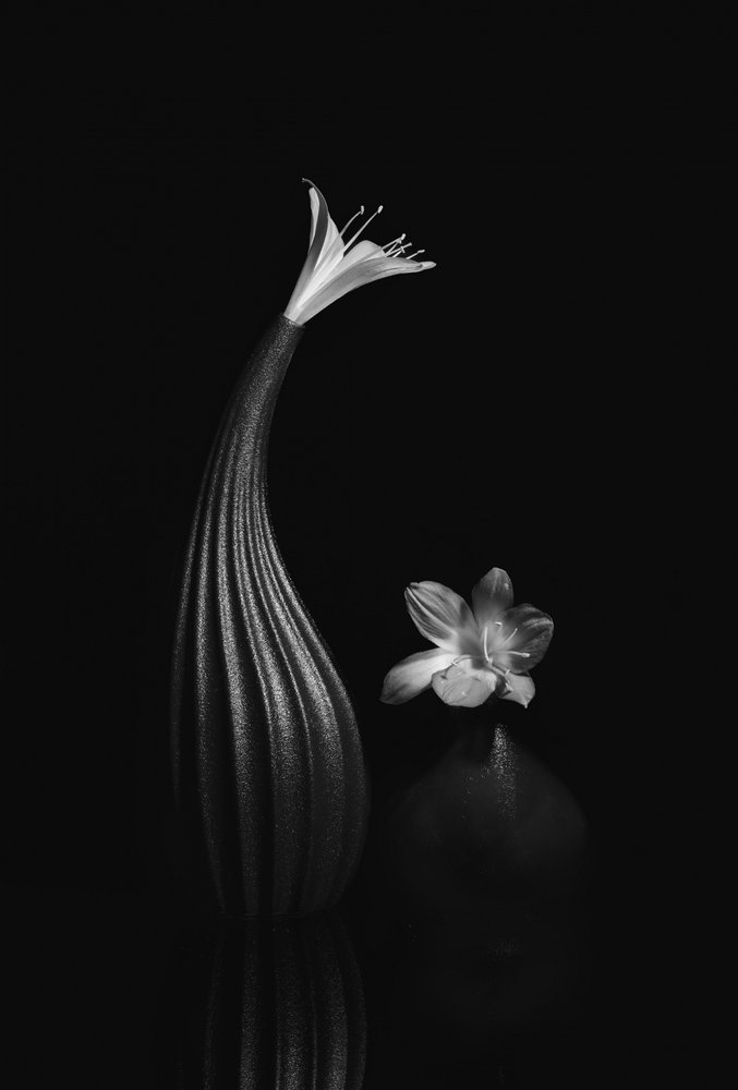Nature morte florale élégante - Anna Qu