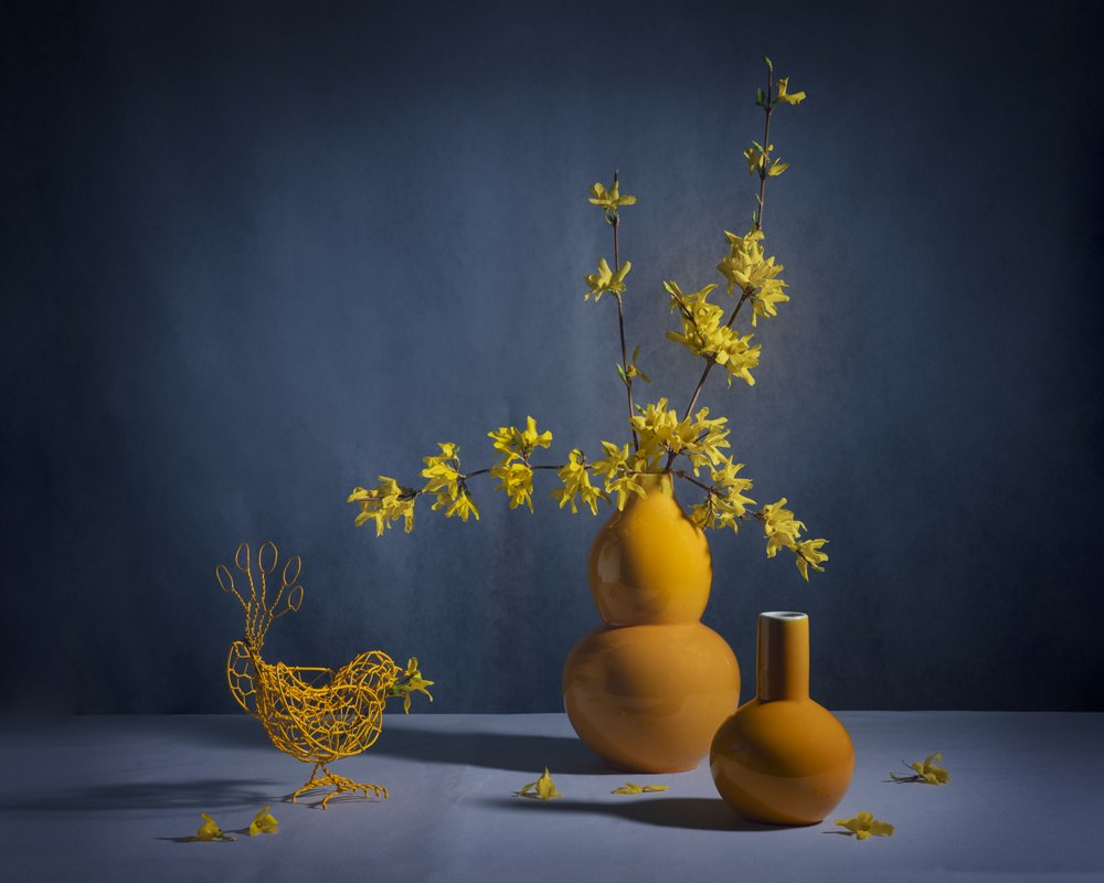 Nature morte au forsythia doré - Anna Qu
