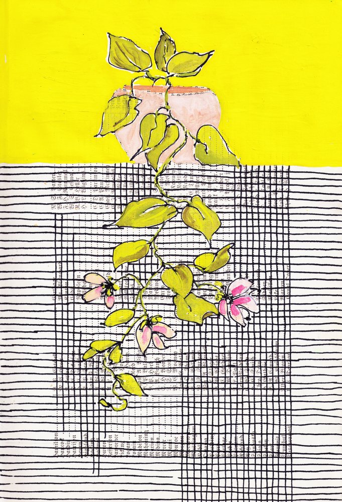 Grille géométrique de plantes grimpantes en fleurs - Annick