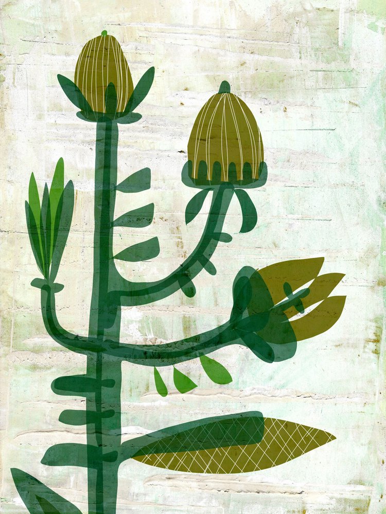 Botanique moderne et verte - Annick