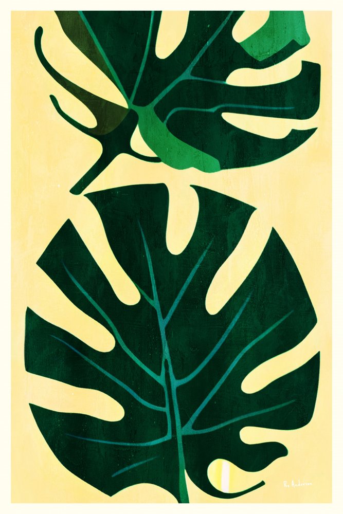 Feuilles de monstera tropical - Bo Anderson