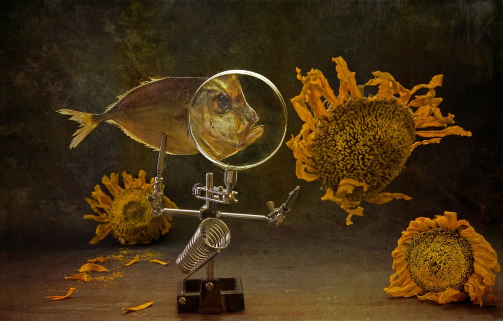 Curieuse nature morte de la nature - Brig Barkow