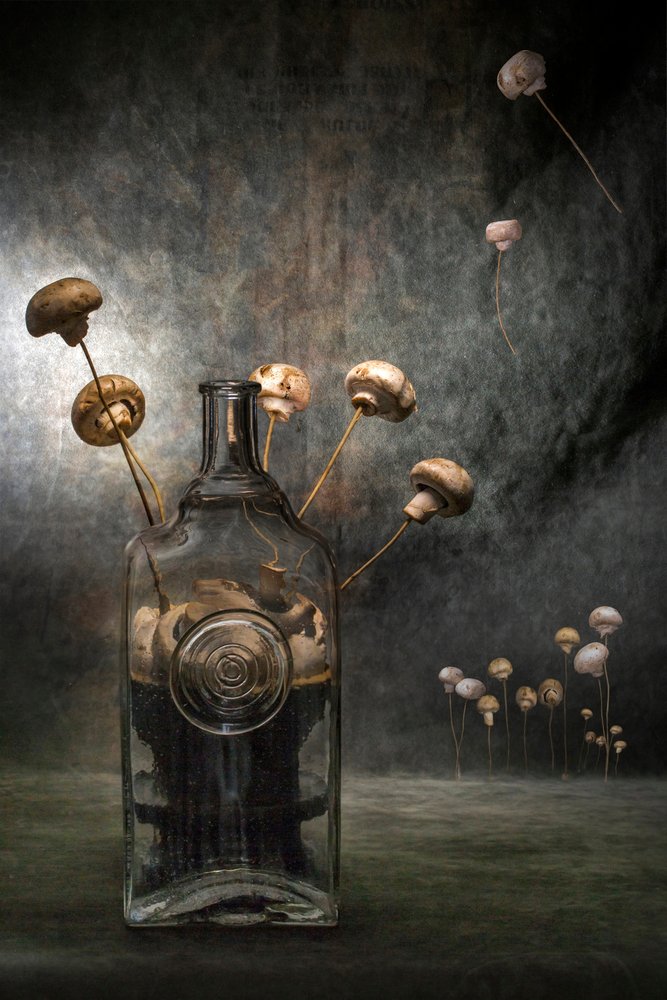 Fantaisie sombre de champignons - Brig Barkow