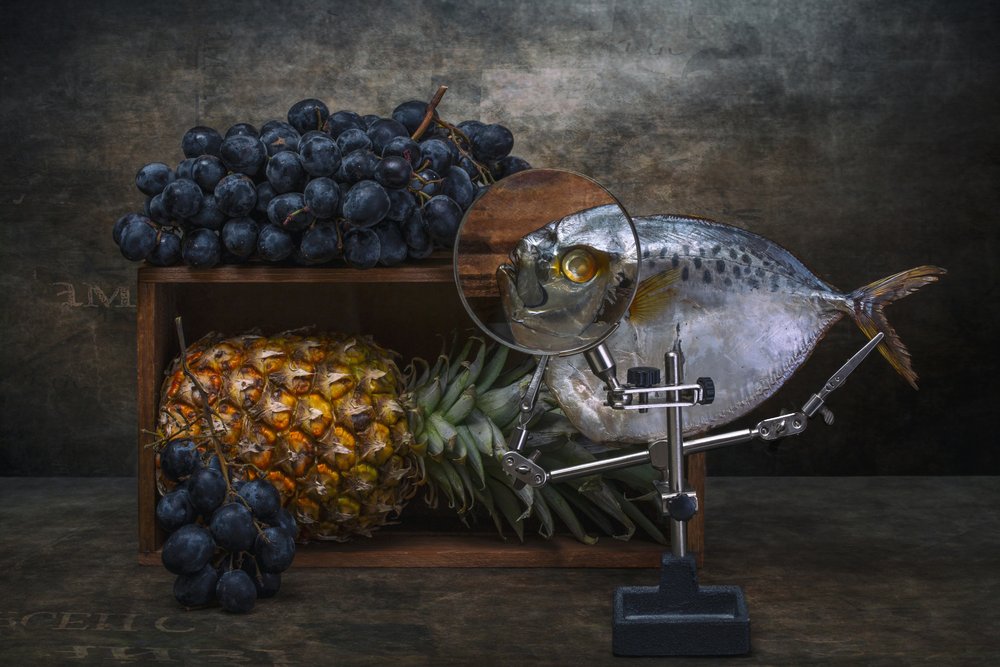 Nature morte de poissons agrandie - Brig Barkow
