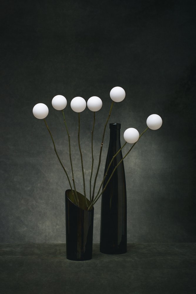Sphères blanches, vases sombres - Brig Barkow