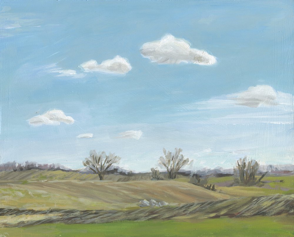 Paysage de campagne à perte de vue - Carrie Arnold