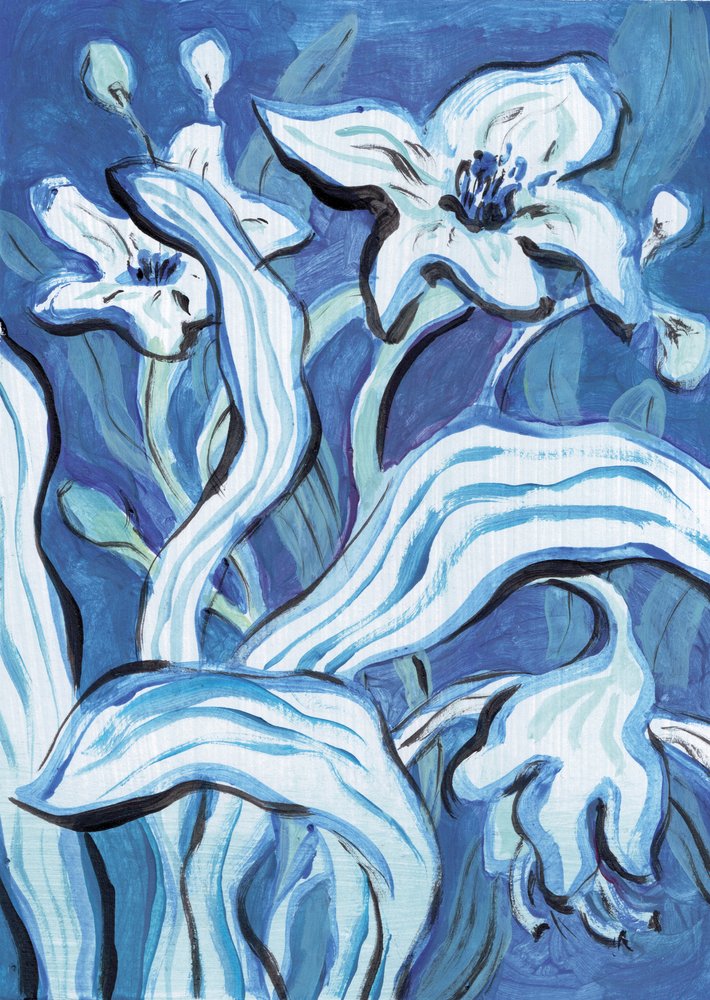 Fleur bleue I - Catalina Somolinos