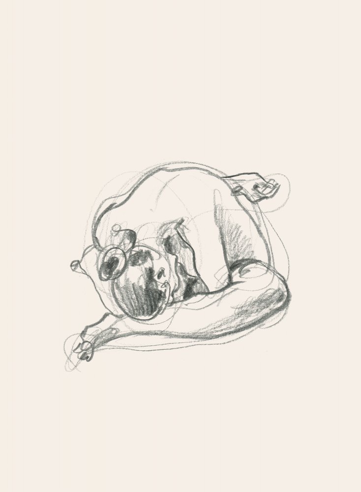 Silhouette recroquevillée - Catalina Somolinos