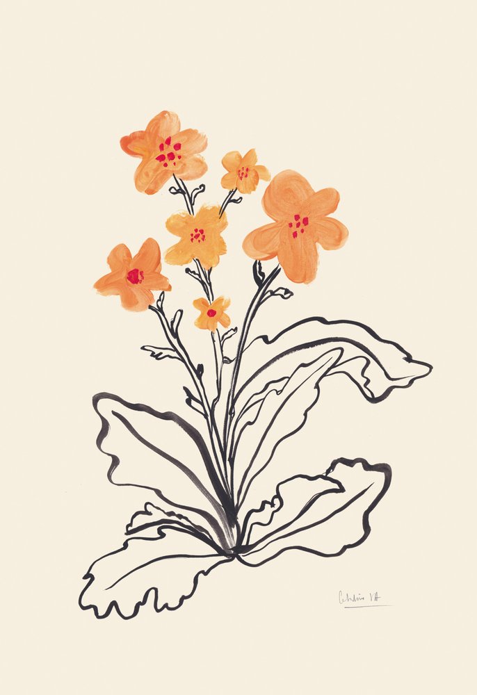  - Catalina Somolinos