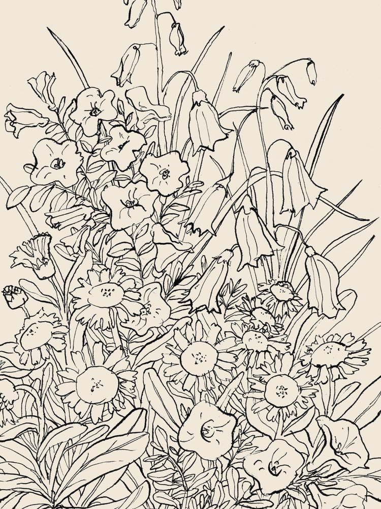 Fleurs sauvages du jardin - Catalina Somolinos