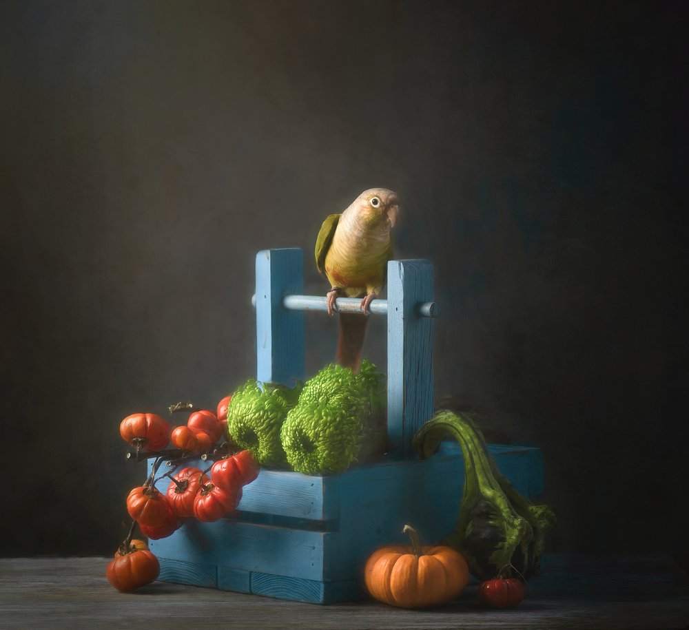 Nature morte d