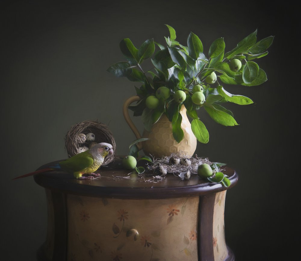 Nature morte au perroquet vert - Catherine Wang
