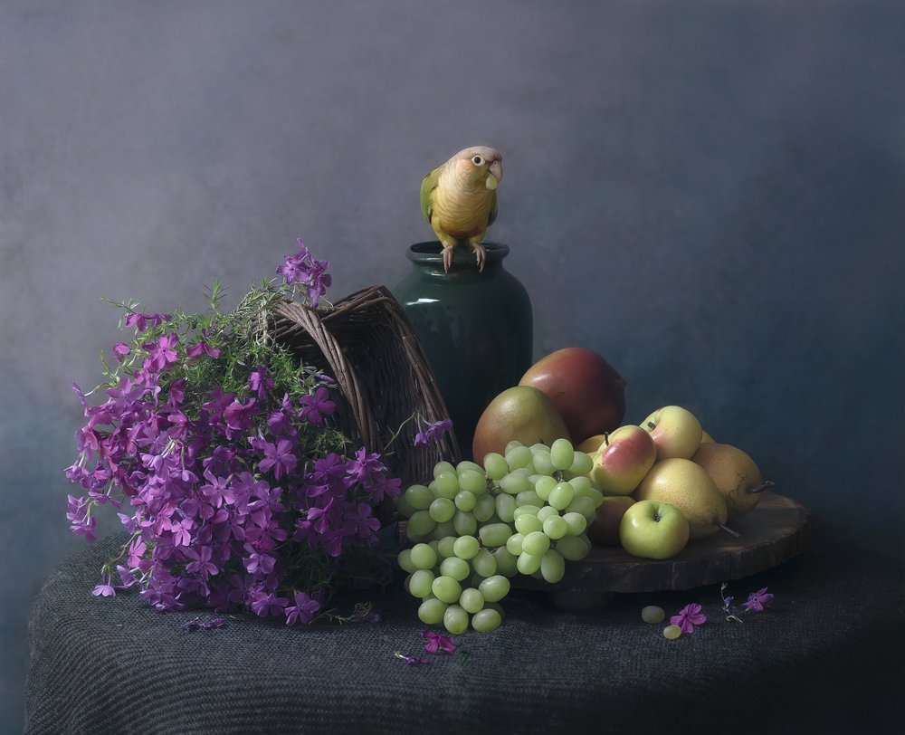 Nature morte au perroquet - Catherine Wang