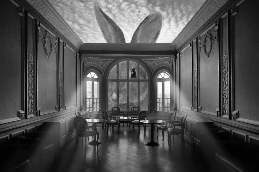 La chambre du lapin géant - Christian MARCEL