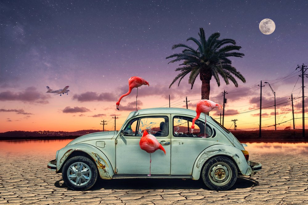 Soirée « Flamants roses » dans le désert - Christian MARCEL