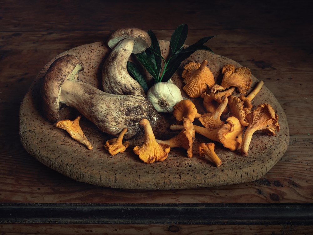 Récolte de champignons à la campagne - Christian MARCEL
