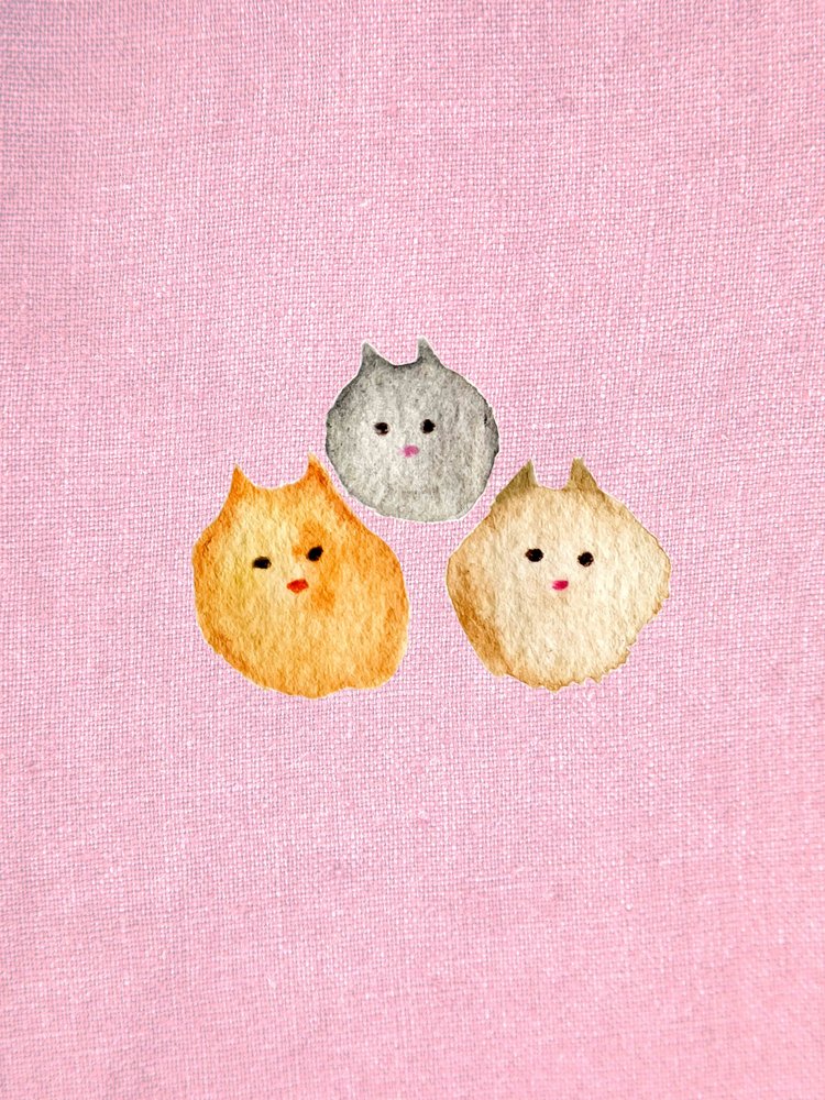 Chat rose - Christina Misuro